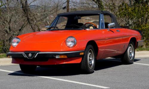 Alfa Romeo Spider Graduate (1985)